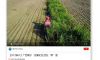【鄉村振興】廣西南寧：甜蜜的生活在“蔗”里
