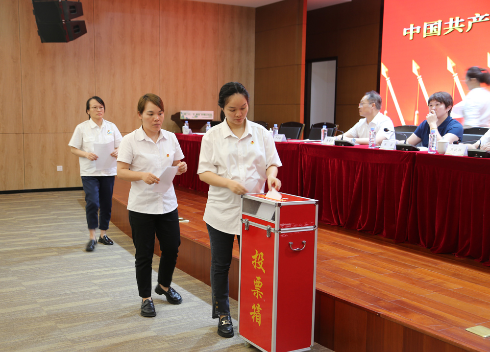 大會采用無記名投票的方式選舉產生了共青團南寧糖業股份有限公司第三屆委員會團委委員，盧艷麗同志當選團委書記.jpg